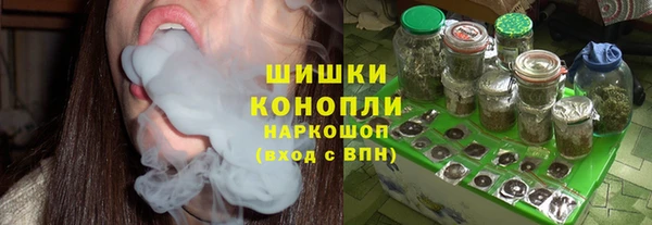 гидра Богданович