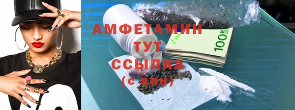гидра Богданович