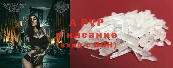 ГАЛЛЮЦИНОГЕННЫЕ ГРИБЫ Белокуриха