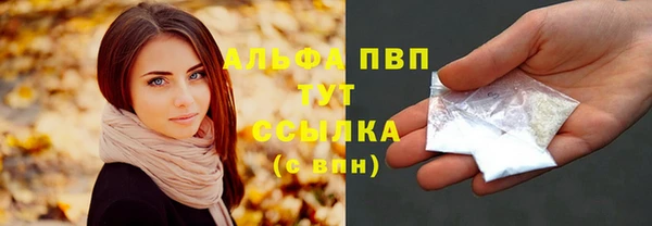 ГАЛЛЮЦИНОГЕННЫЕ ГРИБЫ Белокуриха