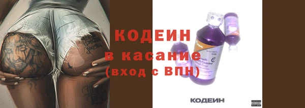 гидра Богданович