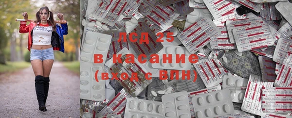 гидра Богданович