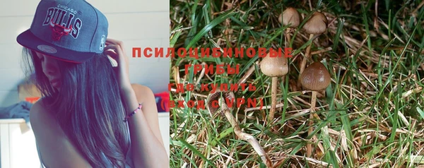 метамфетамин Богородицк