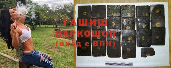 гидра Богданович