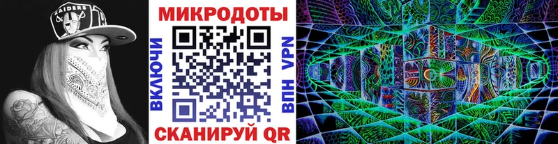 Псилоцибиновые грибы Cubensis  Бородино 